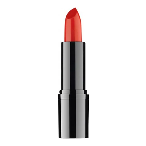 RVB Lab Professional Lipstick 11 4 RVB Lab Professional Lipstick 11 - Image 4